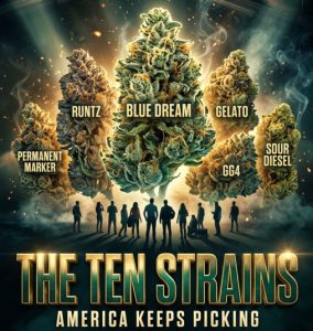 3743 zwna top10strainsinamerica