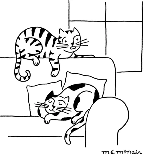 Two cats lying on a couch.