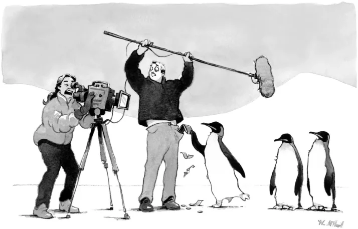 Penguin stealing money from documentaryfilm boom operator while camerawoman continues filming.